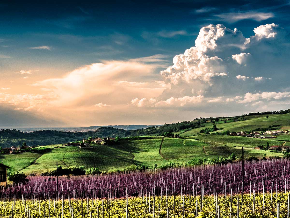 langhe_q